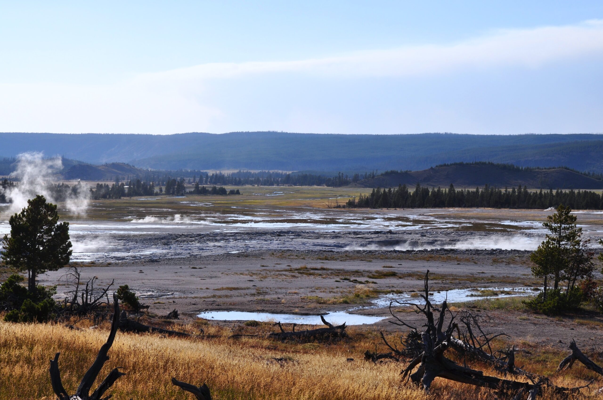 Read more about the article Yellowstone’s earthquakes spark microbial boom deep underground
